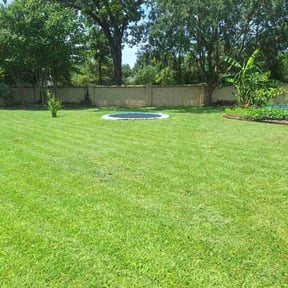 residential landscaping by Stricklin services reviewed on August 16, 2025
