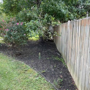 Leaf Removal by LT&#039;s lawn mowing reviewed on September 26, 2025