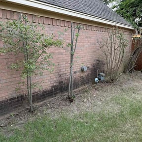 Bush Trimming by Dockstader Landscaping reviewed on December 2, 2025