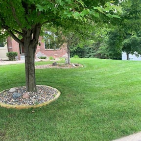 lawn care services by Blue Landscape and Construction reviewed on July 1, 2025