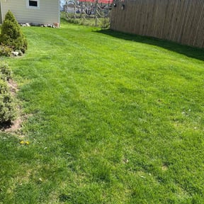yard service by Fosterslawn and aeration LLC reviewed on August 15, 2025