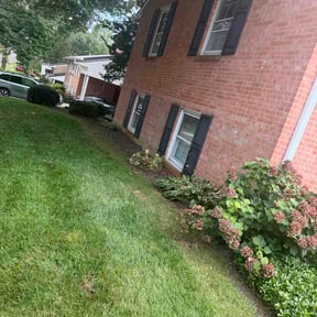 Bush Trimming by PrecisionHomeAndPools reviewed on September 12, 2026