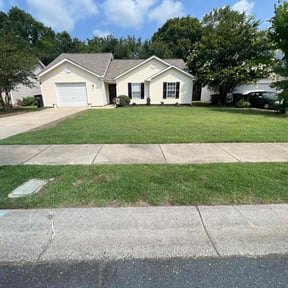 residential landscaping by Torres Transformations reviewed on August 15, 2025