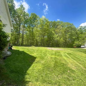 lawn care by Cross County Lawn and Landscape reviewed on April 25, 2025