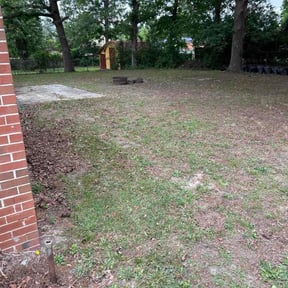 Leaf Removal by The Lawn Guy reviewed on June 25, 2026
