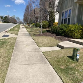 yard maintenance by Bryan English LLC reviewed on August 17, 2025