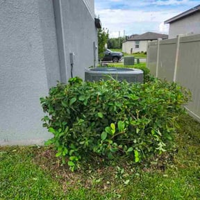 Bush Trimming by R&amp;C Landscapes and Design LLC reviewed on October 23, 2025