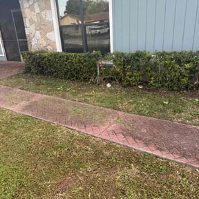 Bush Trimming by Paul Landis Dba Pro Turf Landscape and Lawn care reviewed on August 19, 2025