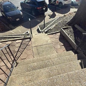 Leaf Removal by Fine Lawn's Lawn Care reviewed on November 23, 2025