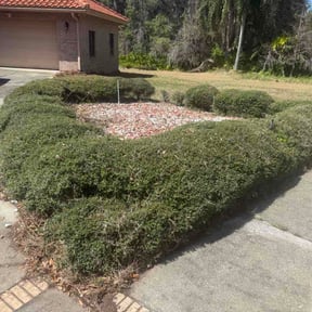 Bush Trimming by Countrygal cuts reviewed on March 10, 2026