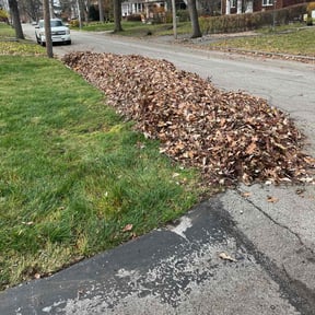 Leaf Removal by CJ lawnscapes reviewed on August 15, 2025