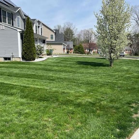 landscaping by Mendoza landscaping reviewed on November 21, 2025