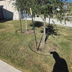 Flower Bed Weeding by WeMow Indy reviewed on November 23, 2025