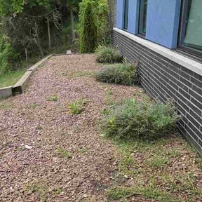 Flower Bed Weeding by First impressions lawn care reviewed on August 17, 2026