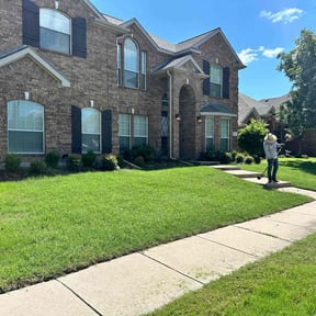 lawn care services by Salvador Lawn and Tree Service reviewed on August 17, 2025