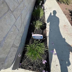 Flower Bed Weeding by Chapulin lawncare reviewed on November 23, 2025