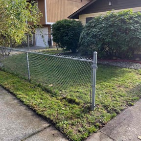 Leaf Removal by Verdoorn Lawn Services reviewed on November 19, 2025