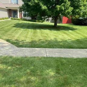 yard care by Freel's Lawn Care reviewed on October 23, 2023