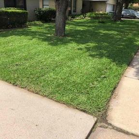 turf maintenance by Proper Lawn Care Co reviewed on August 15, 2025