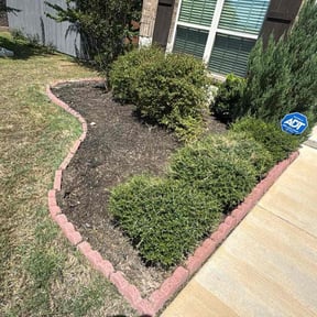 Flower Bed Weeding by TX Lawn Services reviewed on November 9, 2025