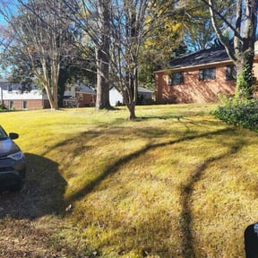 Leaf Removal by Advance Cutter Lawn Maintenance reviewed on November 21, 2025
