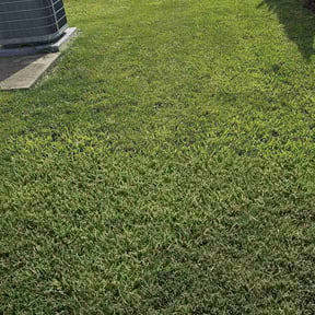 landscaping by Indy&#039;s Grass Slingers. LLC. reviewed on November 22, 2025