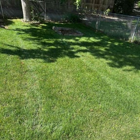 landscaping services by On The Green reviewed on August 18, 2025
