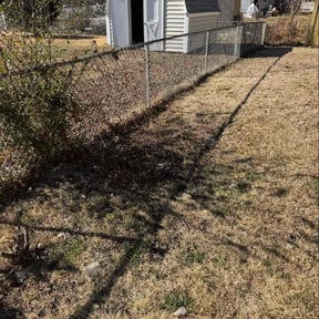 Leaf Removal by Haymes Grass Grooming reviewed on April 3, 2026