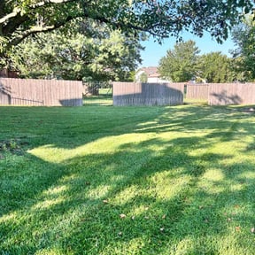 yard work by GET Tax Service reviewed on March 16, 2024