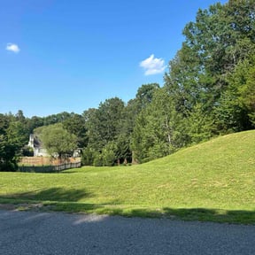 lawn care services by Verns Lawncare LLC reviewed on August 21, 2025