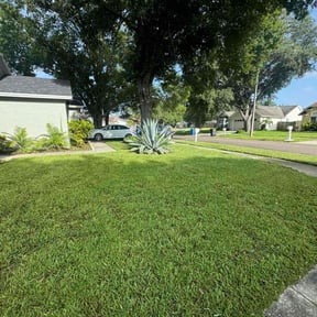 Bush Trimming by Cornhuskerxleaning and More LLC reviewed on October 5, 2024