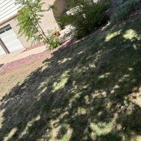 Flower Bed Weeding by A+home services reviewed on June 14, 2026