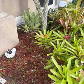 Flower Bed Weeding by David landscaping &amp; stone work/fence reviewed on June 25, 2026
