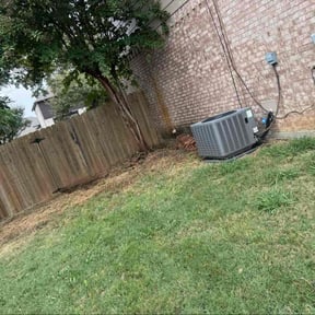 Bush Trimming by Liz-B-Mowing reviewed on October 22, 2025