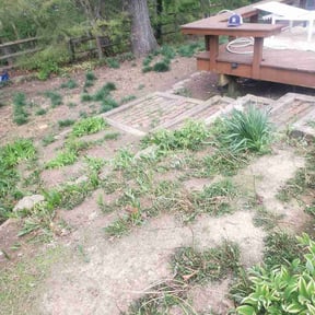 Leaf Removal by Macs landscaping reviewed on August 22, 2026