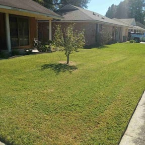 turf maintenance by G E D Services LLC reviewed on April 25, 2024