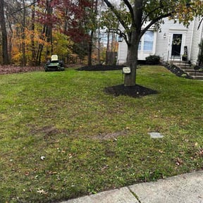 Leaf Removal by Triple M Kutters reviewed on January 17, 2026