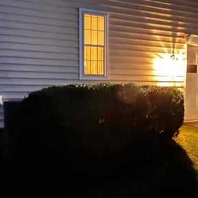 Bush Trimming by Stp construction llc reviewed on November 20, 2025