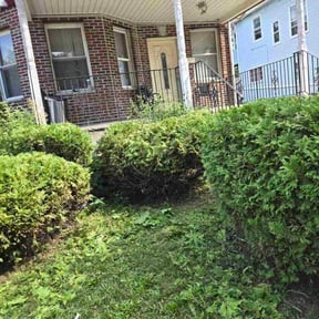 Bush Trimming by P3landscaping reviewed on November 20, 2025