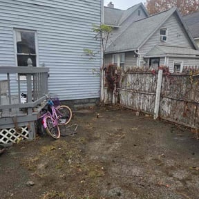 Bush Trimming by Tcklawn reviewed on November 23, 2025