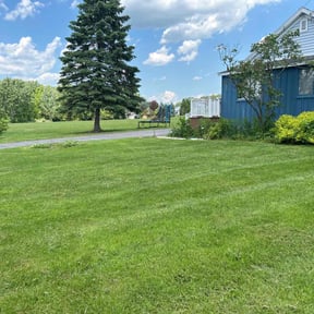 landscaping services by The NY/FL Yard Pros reviewed on August 21, 2025