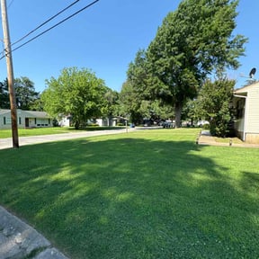 landscape maintenance by No Moore Grass reviewed on August 17, 2025