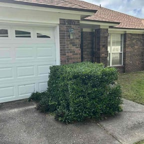 Bush Trimming by Keith Dalke reviewed on November 22, 2025