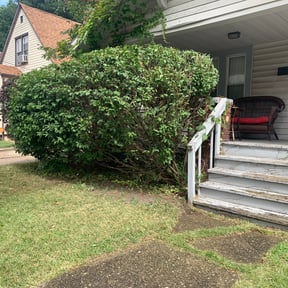 Bush Trimming by CM LANDSCAPED reviewed on August 20, 2025