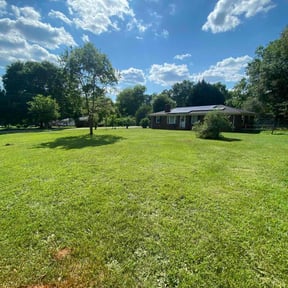 landscape maintenance by Allen Lawn Care reviewed on November 21, 2025