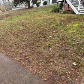Leaf Removal by Mr. Reds LawnCare reviewed on October 18, 2025
