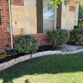 Bush Trimming by Bay Land &amp; Trees Llc. reviewed on May 30, 2026