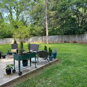 gardening service by Cream of the Cut Lawn Care reviewed on November 24, 2025