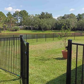 landscaping services by Precision Lawn Care reviewed on November 20, 2025