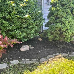 Flower Bed Weeding by Make Your Lawn Shine reviewed on June 14, 2026
